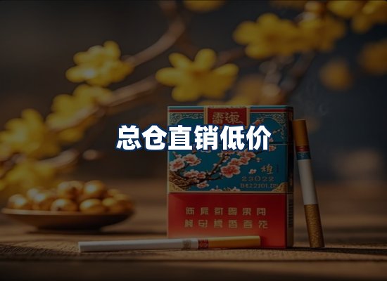 专业团队办公环境
